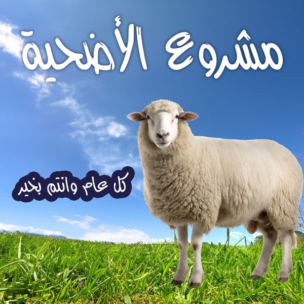 أضحية بالكويت